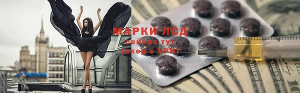 сатива Заводоуковск