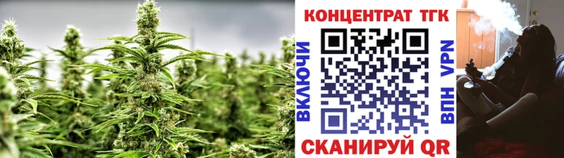 Купить закладки  Гремячинск  Дистиллят ТГК Wax 