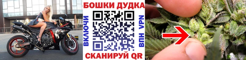 Каннабис AK-47  Купить закладки  Гремячинск 